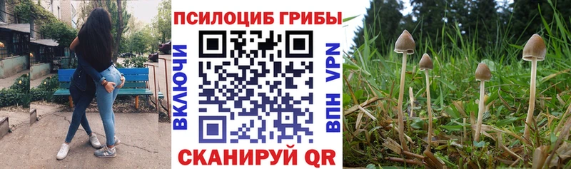 Псилоцибиновые грибы мицелий  наркота  Каргат 